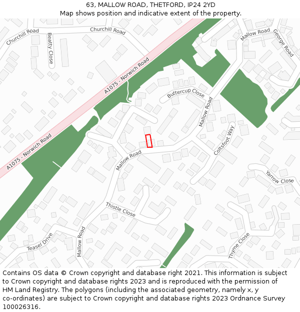 63, MALLOW ROAD, THETFORD, IP24 2YD: Location map and indicative extent of plot