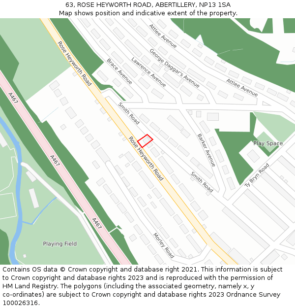 63, ROSE HEYWORTH ROAD, ABERTILLERY, NP13 1SA: Location map and indicative extent of plot