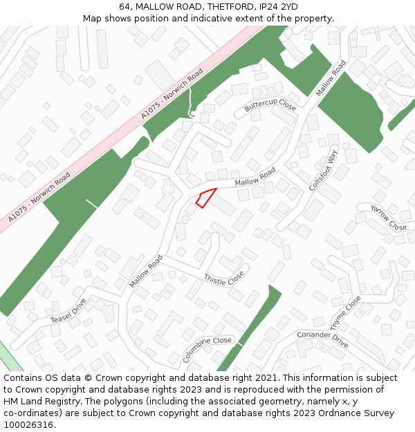 64, MALLOW ROAD, THETFORD, IP24 2YD: Location map and indicative extent of plot