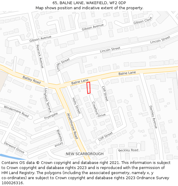 65, BALNE LANE, WAKEFIELD, WF2 0DP: Location map and indicative extent of plot