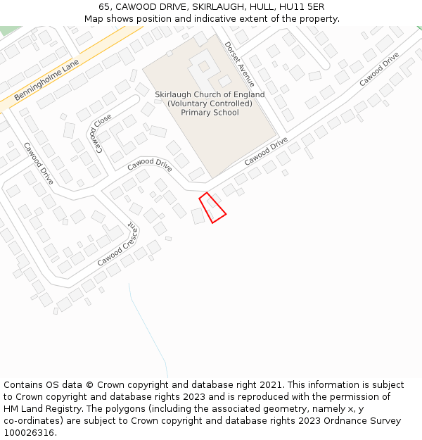 65, CAWOOD DRIVE, SKIRLAUGH, HULL, HU11 5ER: Location map and indicative extent of plot