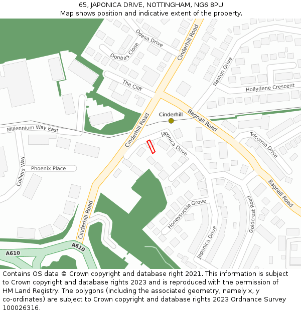 65, JAPONICA DRIVE, NOTTINGHAM, NG6 8PU: Location map and indicative extent of plot