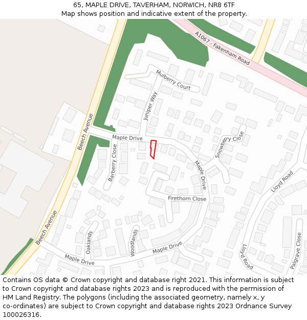 65, MAPLE DRIVE, TAVERHAM, NORWICH, NR8 6TF: Location map and indicative extent of plot