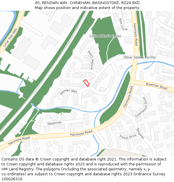 65, RENOWN WAY, CHINEHAM, BASINGSTOKE, RG24 8XD: Location map and indicative extent of plot