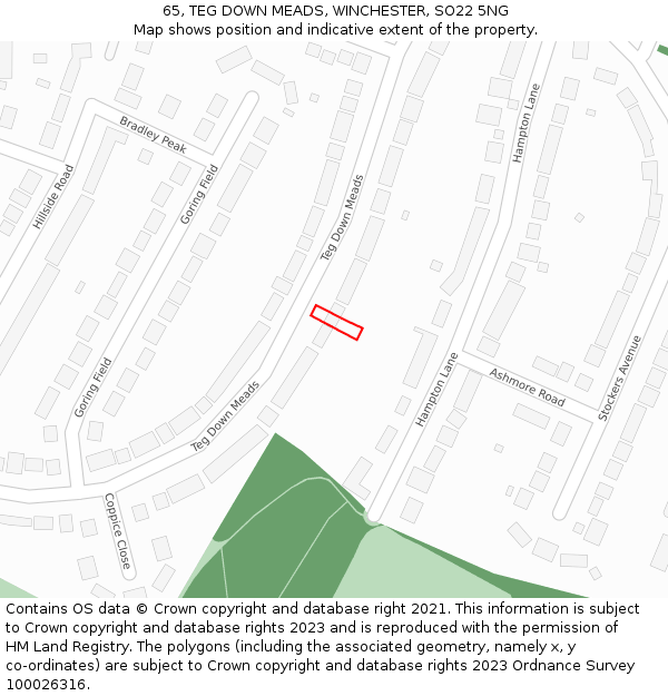 65, TEG DOWN MEADS, WINCHESTER, SO22 5NG: Location map and indicative extent of plot