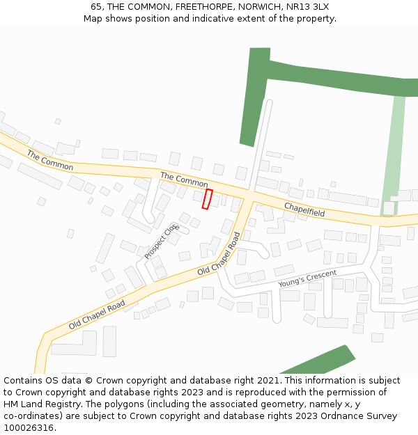 65, THE COMMON, FREETHORPE, NORWICH, NR13 3LX: Location map and indicative extent of plot