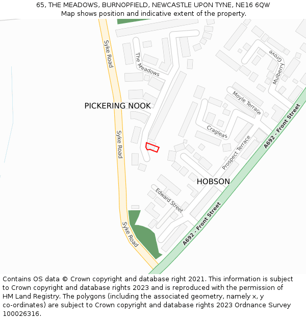 65, THE MEADOWS, BURNOPFIELD, NEWCASTLE UPON TYNE, NE16 6QW: Location map and indicative extent of plot