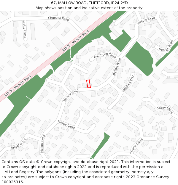 67, MALLOW ROAD, THETFORD, IP24 2YD: Location map and indicative extent of plot