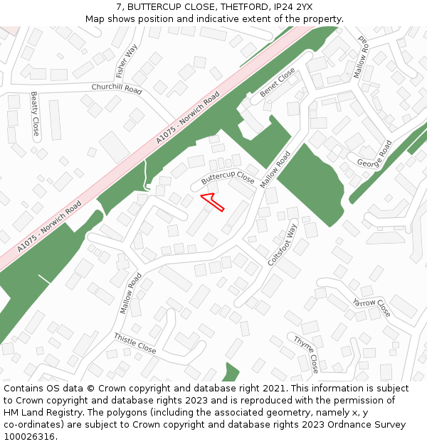 7, BUTTERCUP CLOSE, THETFORD, IP24 2YX: Location map and indicative extent of plot