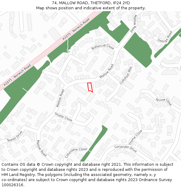 74, MALLOW ROAD, THETFORD, IP24 2YD: Location map and indicative extent of plot