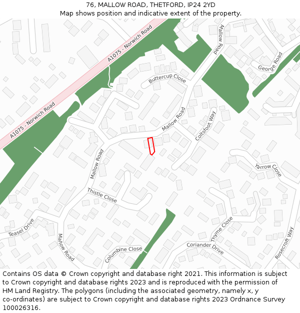 76, MALLOW ROAD, THETFORD, IP24 2YD: Location map and indicative extent of plot