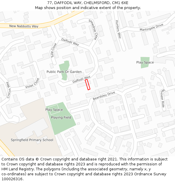 77, DAFFODIL WAY, CHELMSFORD, CM1 6XE: Location map and indicative extent of plot