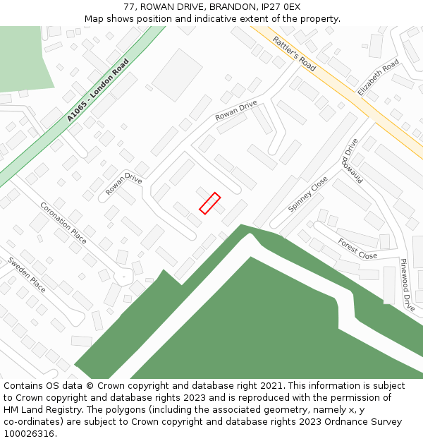77, ROWAN DRIVE, BRANDON, IP27 0EX: Location map and indicative extent of plot