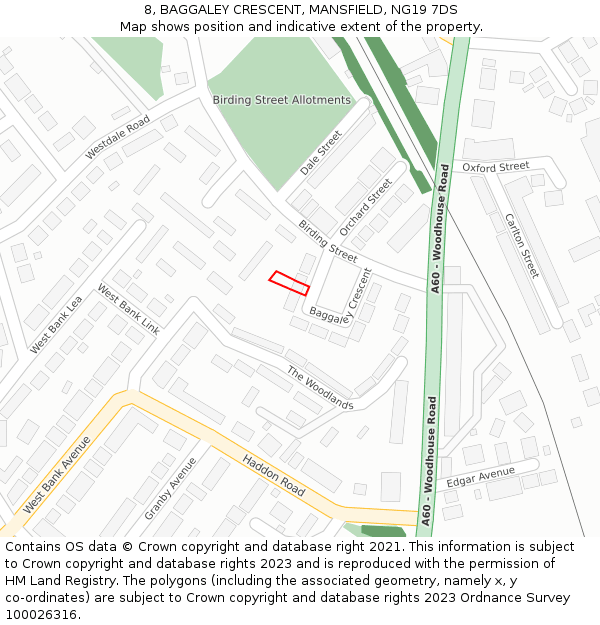 8, BAGGALEY CRESCENT, MANSFIELD, NG19 7DS: Location map and indicative extent of plot