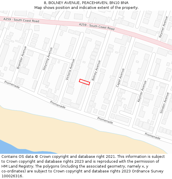 8, BOLNEY AVENUE, PEACEHAVEN, BN10 8NA: Location map and indicative extent of plot