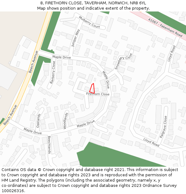 8, FIRETHORN CLOSE, TAVERHAM, NORWICH, NR8 6YL: Location map and indicative extent of plot