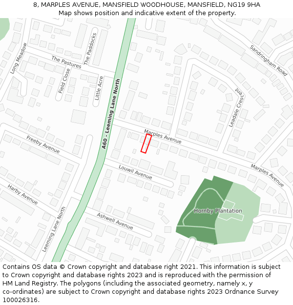 8, MARPLES AVENUE, MANSFIELD WOODHOUSE, MANSFIELD, NG19 9HA: Location map and indicative extent of plot