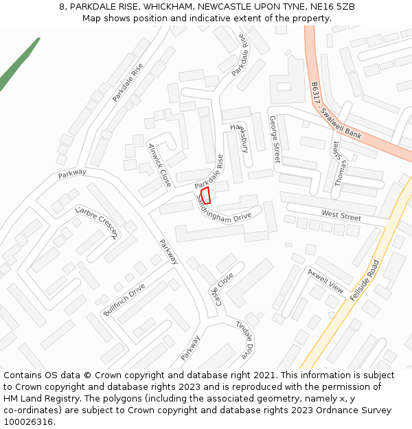 8, PARKDALE RISE, WHICKHAM, NEWCASTLE UPON TYNE, NE16 5ZB: Location map and indicative extent of plot