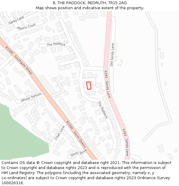 8, THE PADDOCK, REDRUTH, TR15 2AG: Location map and indicative extent of plot