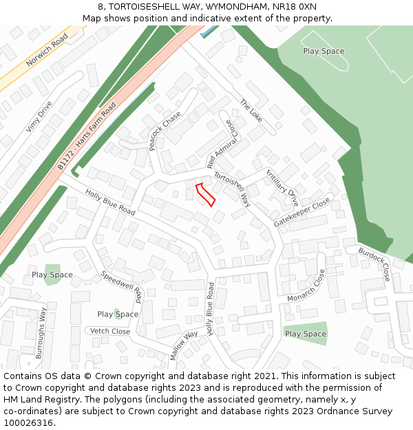 8, TORTOISESHELL WAY, WYMONDHAM, NR18 0XN: Location map and indicative extent of plot
