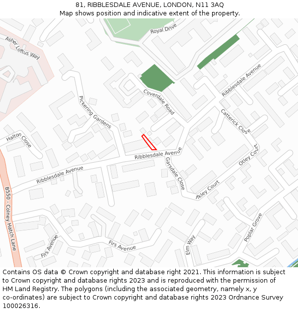 81, RIBBLESDALE AVENUE, LONDON, N11 3AQ: Location map and indicative extent of plot