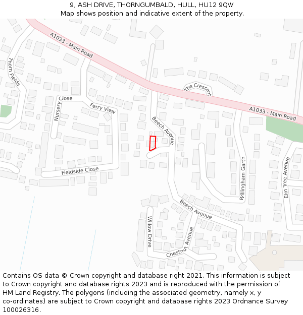 9, ASH DRIVE, THORNGUMBALD, HULL, HU12 9QW: Location map and indicative extent of plot