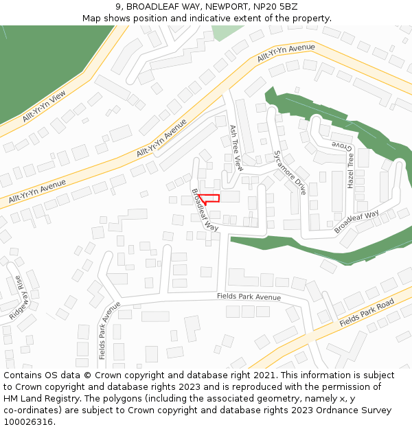 9, BROADLEAF WAY, NEWPORT, NP20 5BZ: Location map and indicative extent of plot