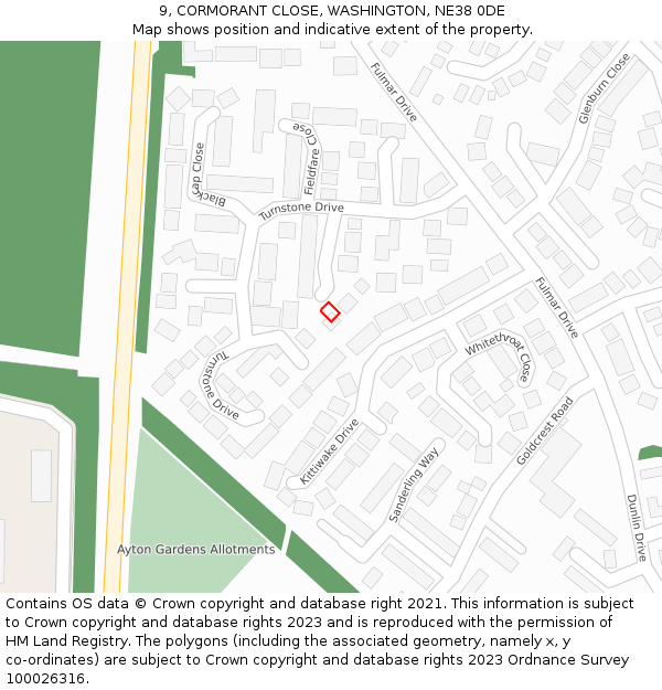 9, CORMORANT CLOSE, WASHINGTON, NE38 0DE: Location map and indicative extent of plot