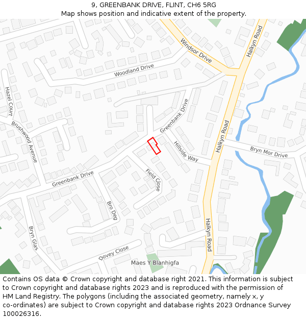 9, GREENBANK DRIVE, FLINT, CH6 5RG: Location map and indicative extent of plot