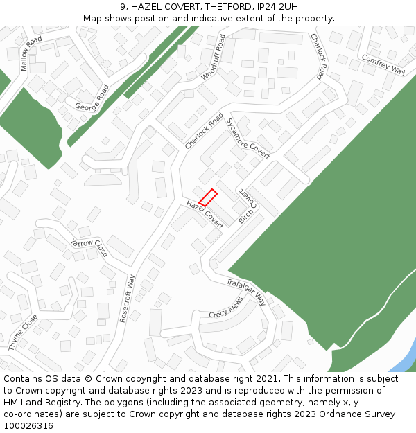 9, HAZEL COVERT, THETFORD, IP24 2UH: Location map and indicative extent of plot