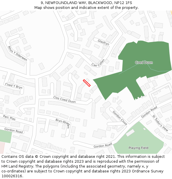 9, NEWFOUNDLAND WAY, BLACKWOOD, NP12 1FS: Location map and indicative extent of plot