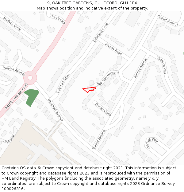 9, OAK TREE GARDENS, GUILDFORD, GU1 1EX: Location map and indicative extent of plot