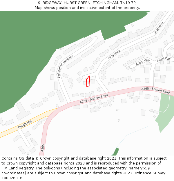 9, RIDGEWAY, HURST GREEN, ETCHINGHAM, TN19 7PJ: Location map and indicative extent of plot