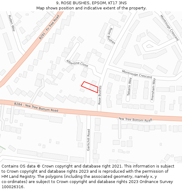 9, ROSE BUSHES, EPSOM, KT17 3NS: Location map and indicative extent of plot