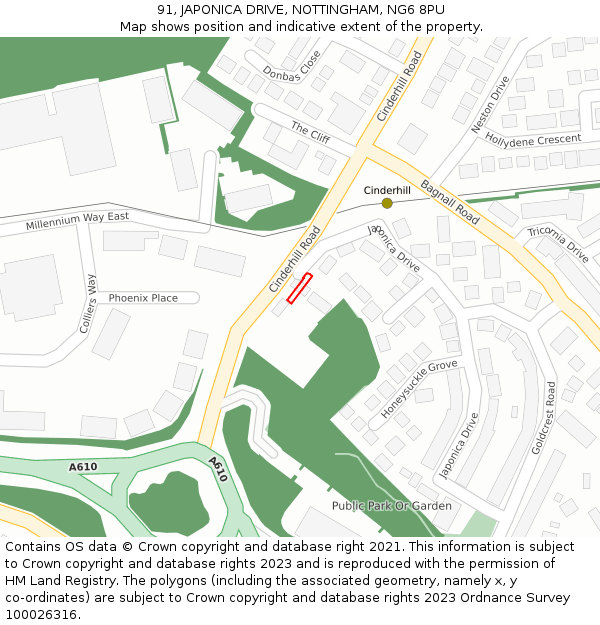 91, JAPONICA DRIVE, NOTTINGHAM, NG6 8PU: Location map and indicative extent of plot