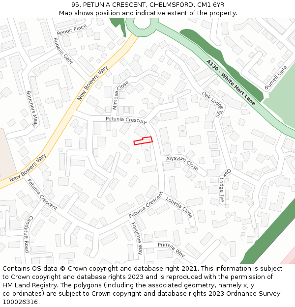 95, PETUNIA CRESCENT, CHELMSFORD, CM1 6YR: Location map and indicative extent of plot