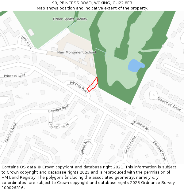 99, PRINCESS ROAD, WOKING, GU22 8ER: Location map and indicative extent of plot