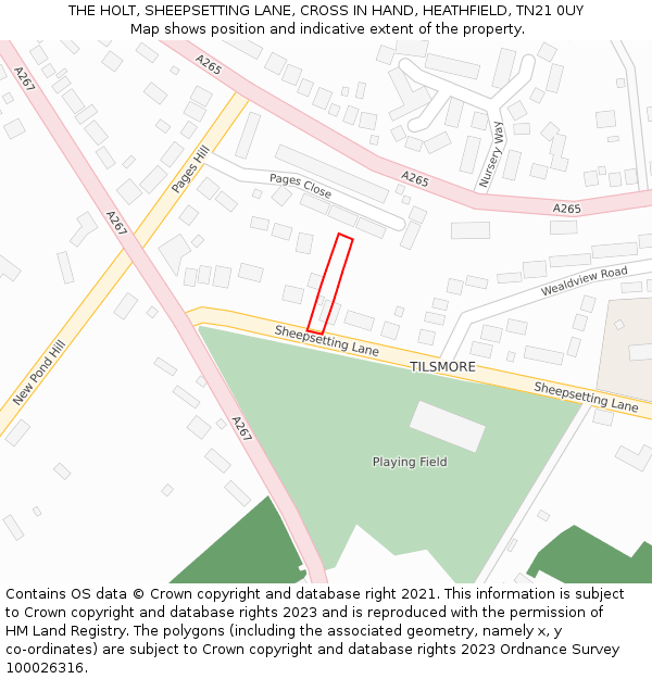THE HOLT, SHEEPSETTING LANE, CROSS IN HAND, HEATHFIELD, TN21 0UY: Location map and indicative extent of plot
