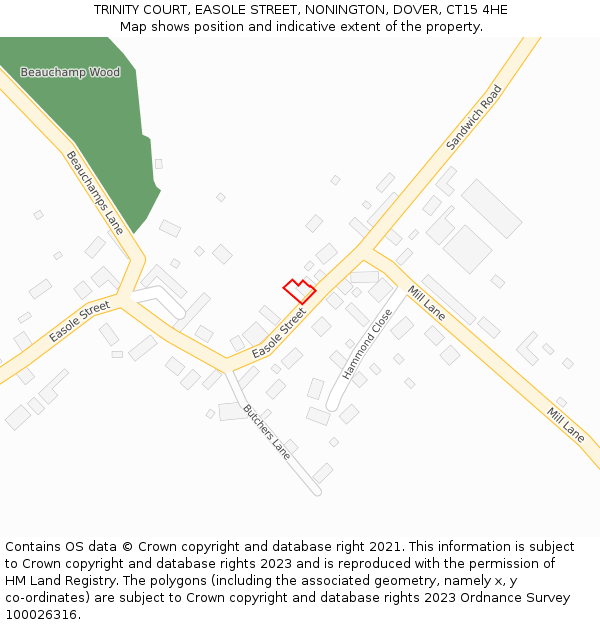 TRINITY COURT, EASOLE STREET, NONINGTON, DOVER, CT15 4HE: Location map and indicative extent of plot