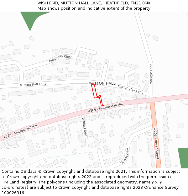 WISH END, MUTTON HALL LANE, HEATHFIELD, TN21 8NX: Location map and indicative extent of plot