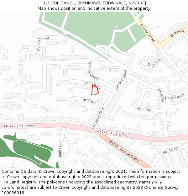 1, HEOL GANOL, BRYNMAWR, EBBW VALE, NP23 4TJ: Location map and indicative extent of plot