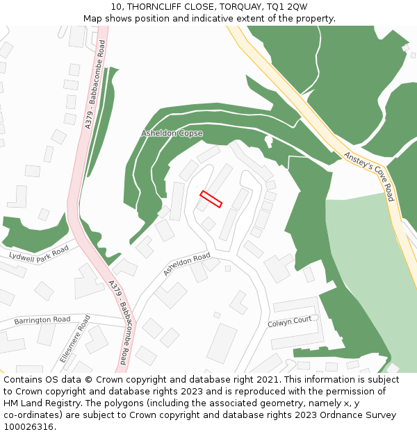 10, THORNCLIFF CLOSE, TORQUAY, TQ1 2QW: Location map and indicative extent of plot