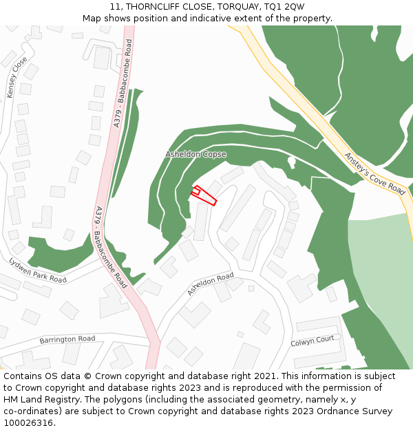 11, THORNCLIFF CLOSE, TORQUAY, TQ1 2QW: Location map and indicative extent of plot