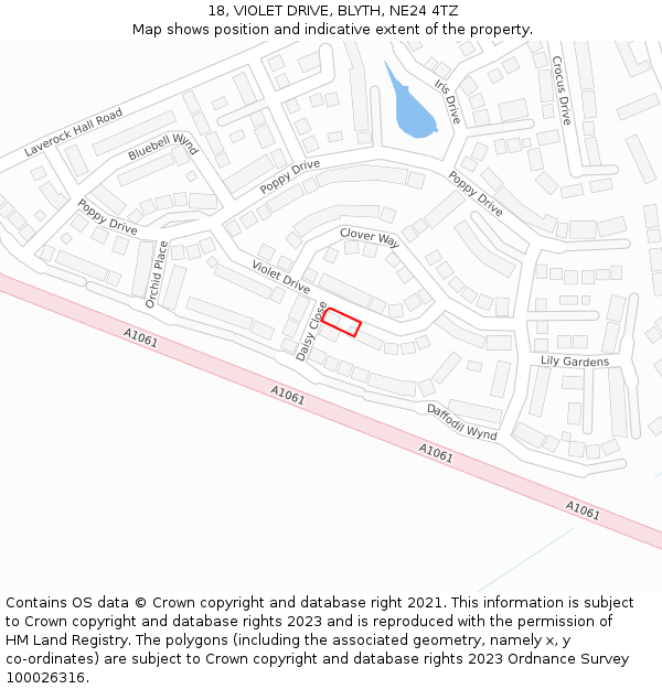 18, VIOLET DRIVE, BLYTH, NE24 4TZ: Location map and indicative extent of plot