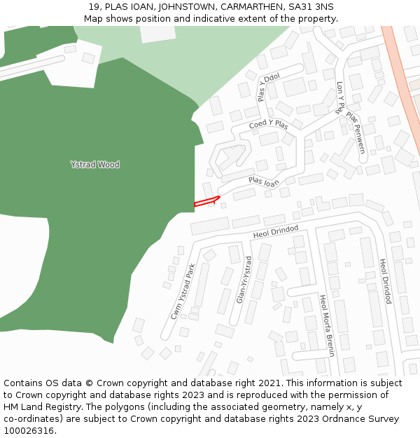 19, PLAS IOAN, JOHNSTOWN, CARMARTHEN, SA31 3NS: Location map and indicative extent of plot