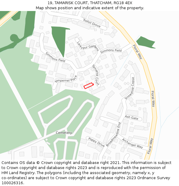19, TAMARISK COURT, THATCHAM, RG18 4EX: Location map and indicative extent of plot