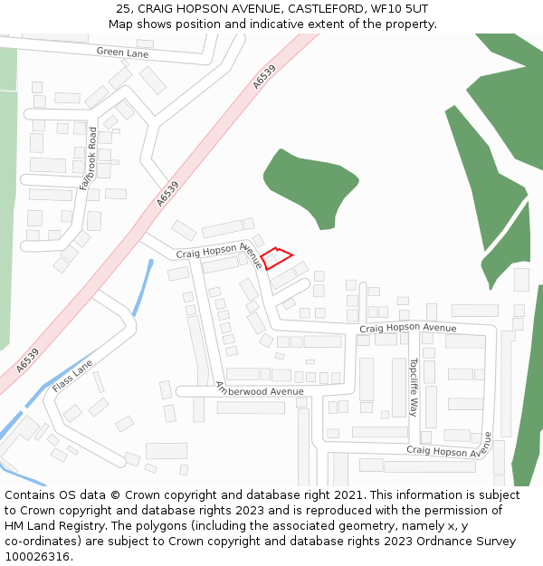 25, CRAIG HOPSON AVENUE, CASTLEFORD, WF10 5UT: Location map and indicative extent of plot