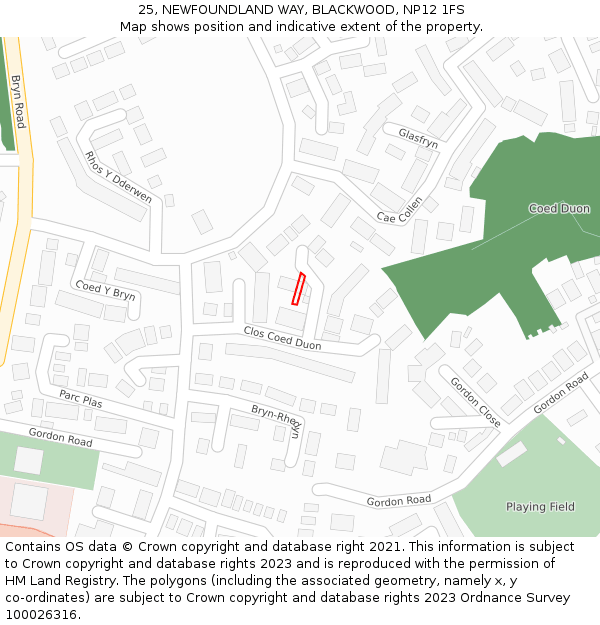 25, NEWFOUNDLAND WAY, BLACKWOOD, NP12 1FS: Location map and indicative extent of plot