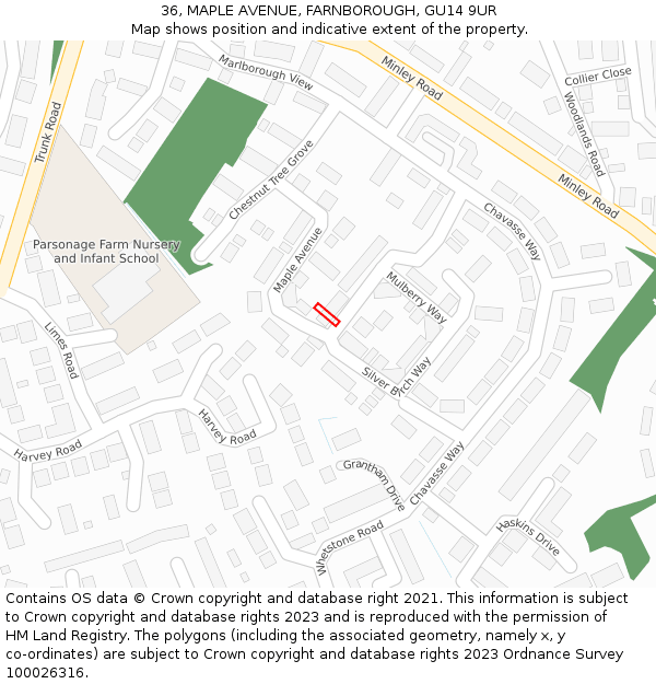 36, MAPLE AVENUE, FARNBOROUGH, GU14 9UR: Location map and indicative extent of plot