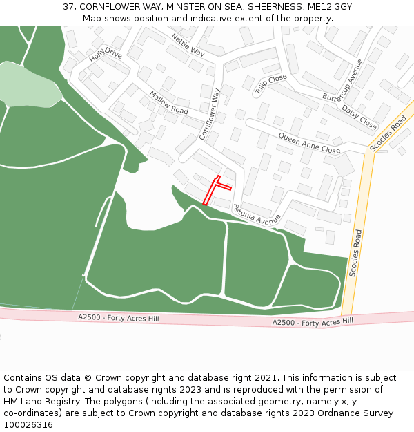 37, CORNFLOWER WAY, MINSTER ON SEA, SHEERNESS, ME12 3GY: Location map and indicative extent of plot